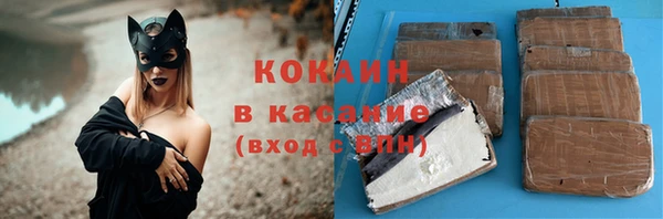 apvp Иннополис