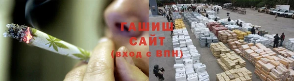 apvp Иннополис